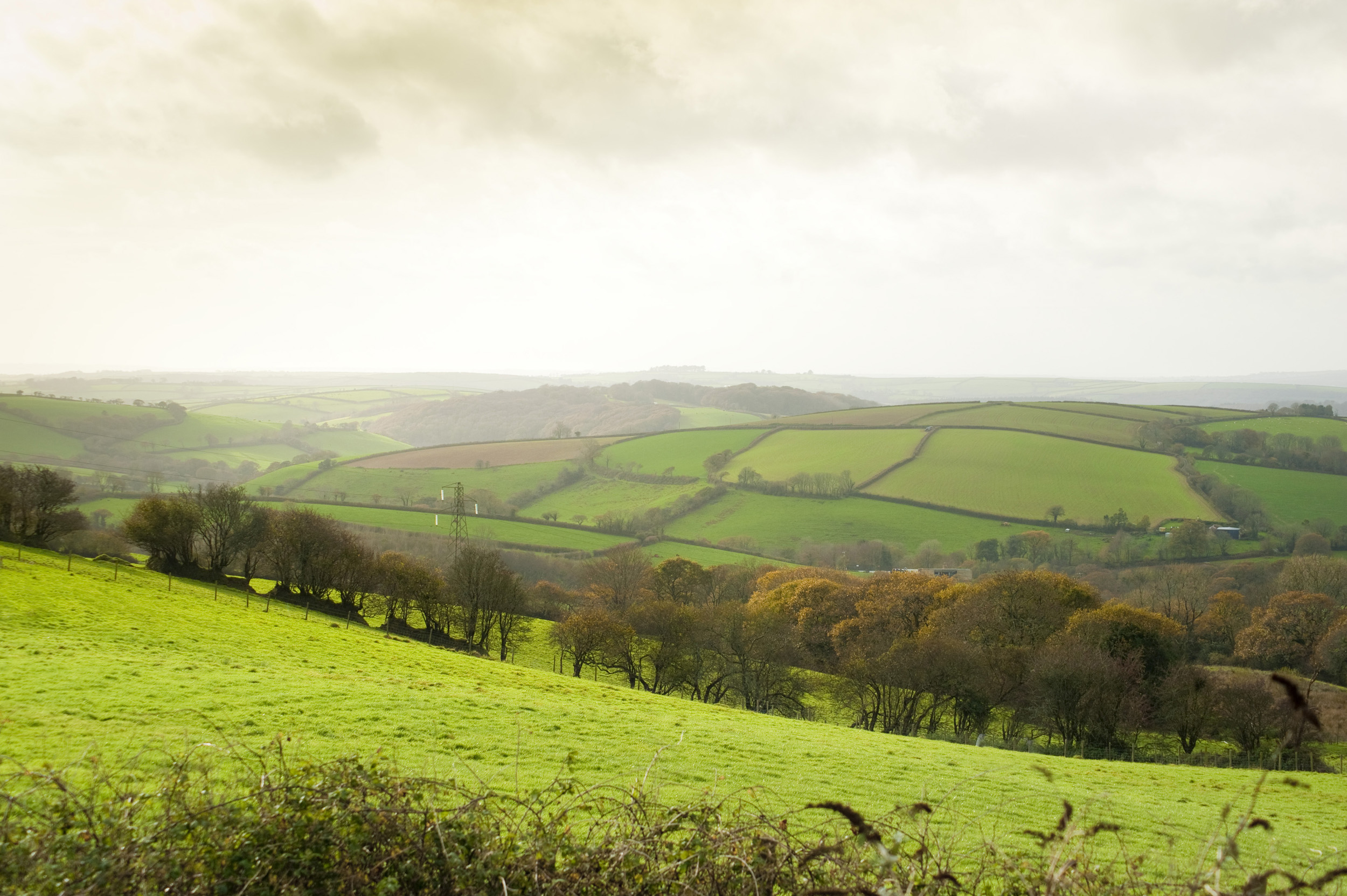 Free Stock Photo Of Cornish Countryside Photoeverywhere