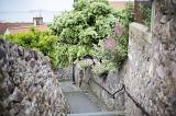 Old stone wall outdoors staircase with shrubs growing over stones at Pittenweem, Scotland