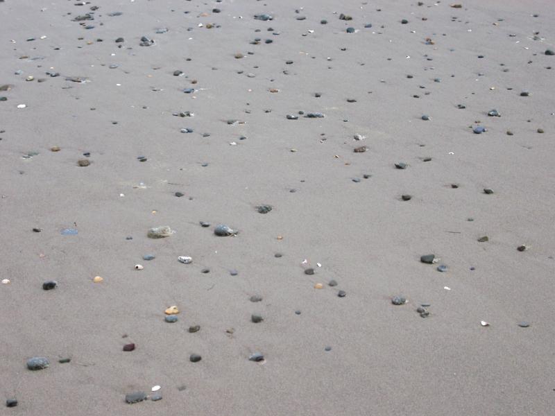 Background of shells lying on wet beach sand left stranded by the receding tide