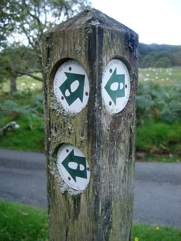 Close Up of Confusing Hiking Trail Directional Arrows on Wooden Sign Post Beside Paved Road