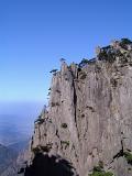 Pine Trees Growing at Huangshan Yellow Mountain at China. Captured with Light Blue Sky Background.