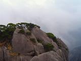 Green Plants Growing on Huge Rock Formations at Yellow Mountains in China with Foggy Background.
