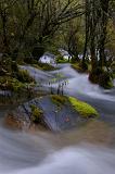 Long exposure of a mossy stream flowing over rocks in a woodland landscape showing the scenic natural beauty of the environment