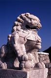 Close up Lucky Chinese Stone Lion Sculpture on Blue Sky Background.