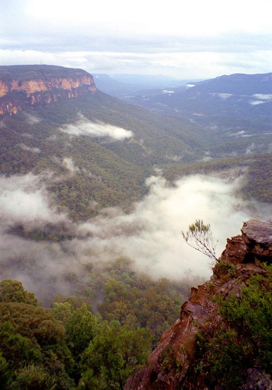 Fogs hangng over a valley in the Blue Mountains. Captured in Aerial View.