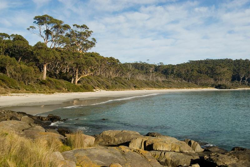 sun shining down on the beach at fortescue bay, tasman peninsula