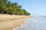 beautiful tropical beach with clean waters and lines of lush tropical coconut palms