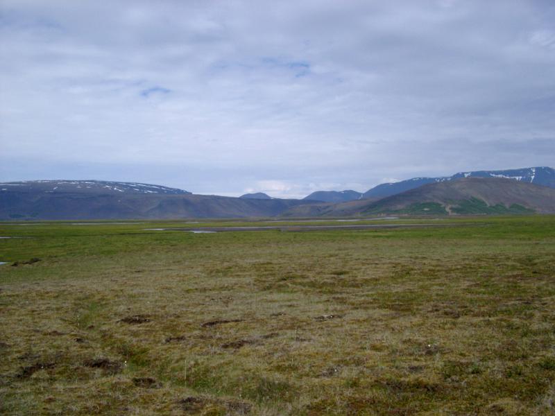 Scenic of Empty Field with Mountains and Overcast Sky in Iceland