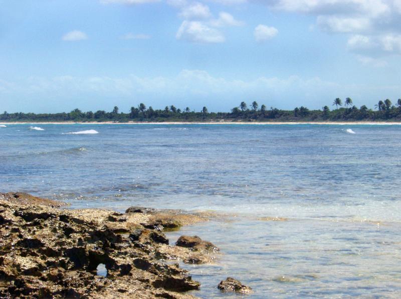 Looking across a bay at a tropical Mexican beach with golden sand fringed with green coconut palms in a scenic landscape