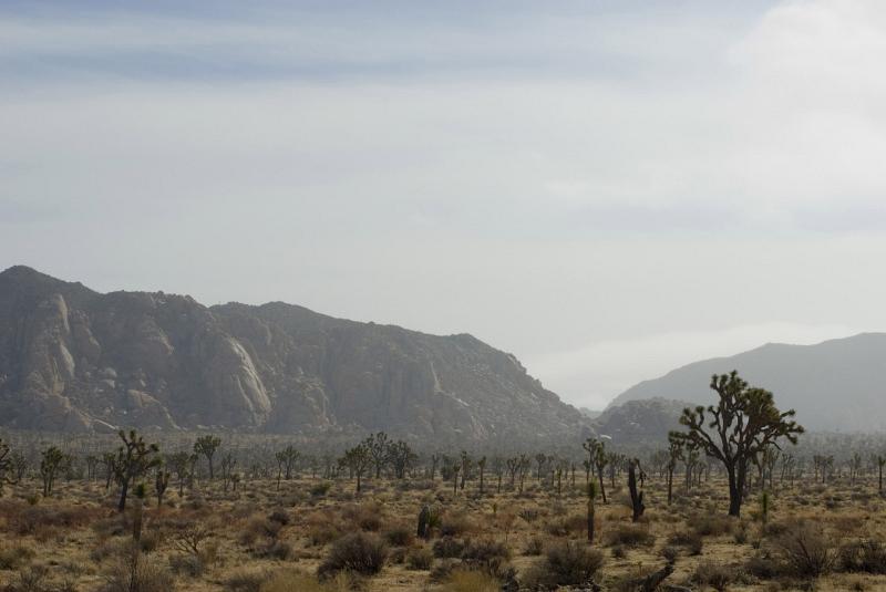 Arid desert landscape in Joshua Tree National Park in south east California