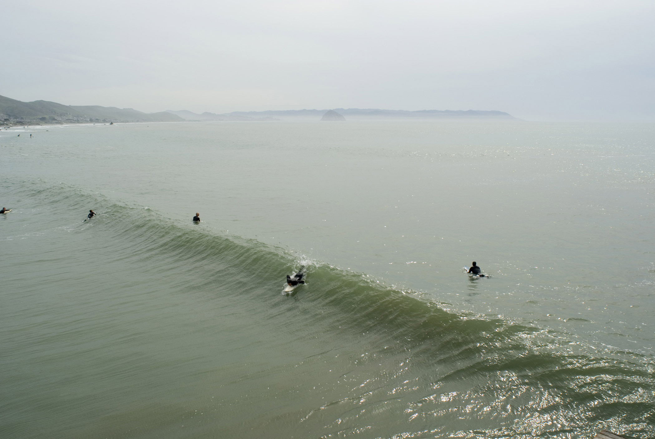 Three Essential Steps You've To Just Take Before Getting Surfer SEO Black Friday