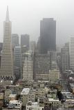 Aerial View of Architectural City Buildings on One Foggy Day at San Francisco.