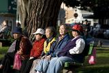 Group of Asian friends relaxing in Washington Square, San Francisco, sitting in a row on a wooden bench in the sunshine