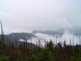 Mount Washington, USA, on a misty day with a foreground view of dead trees and cloud in the valleys