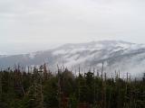 Scenic view of the mountain peaks and evergreen forests of Mount Washington on a misty day
