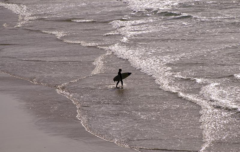 silhouette of a surfer waking into the water with a surfboard