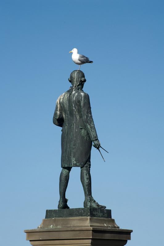a shitehawk sitting on top of captain cook statue on whitbys west cliff