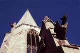 Gargoyle of a bat or dragon of carved stone mounted on a tower in York, UK