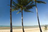 Three palm trees under a clear, blue summer day on an empty tropical beach in northern Australia.