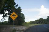 Kangaroo warning yellow sign on the left side of curved country road against green trees and cloudy sky