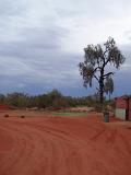 Red Landscape at Kings Creek Station in Australia with Tall Green Trees Afar. A Good Place for Camping.