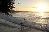 Surfers in a calm ocean at Noosa, Australia at sunrise or sunset with the sun casting a golden path over the water