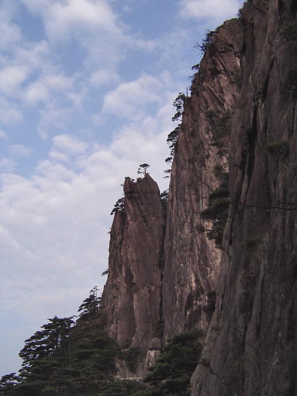 Vista of Famous Beautiful Yellow Mountains with Growing Trees Located in China