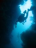 Underwater image of a scuba diver descending into a cave looking for fan corals