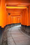 an empty tunnel of torri gates at the Fushimi Inari-taisha shrine