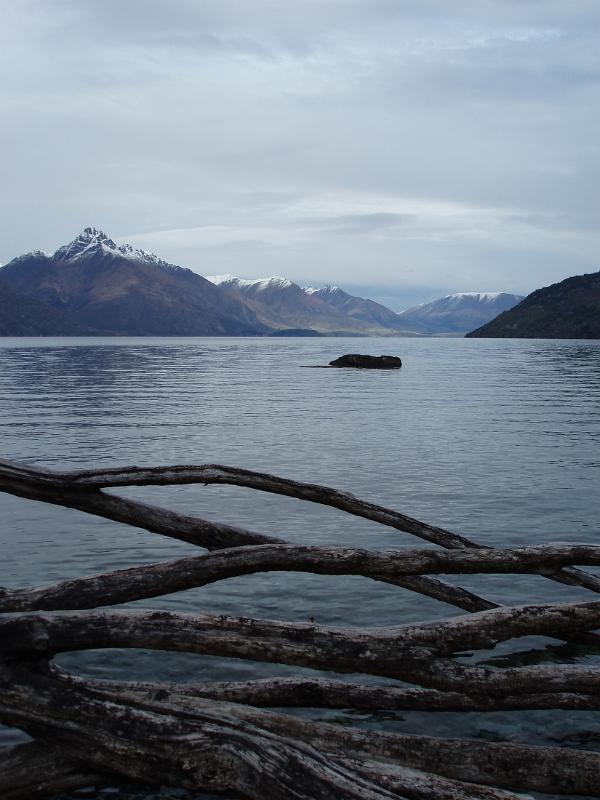a calm view of lake wakatipu and distance mountains iwth driftwood in the foreground
