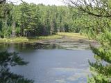 Overview of Lake in Forest in Algonquin Park, Ontario, Canada