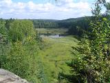 Overview of Wetland Area in Algonquin Park, Ontario, Canada