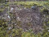 Detail of Volcanic Rock Formation on Ground in Iceland