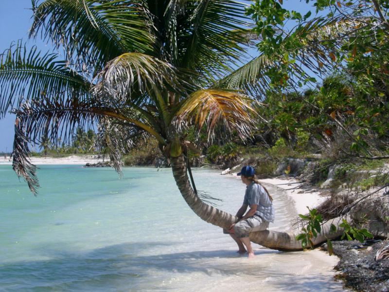 Man sitting on the trunk of a tropical palm overhanging golden beach sand and crystal clear blue water in Mexico