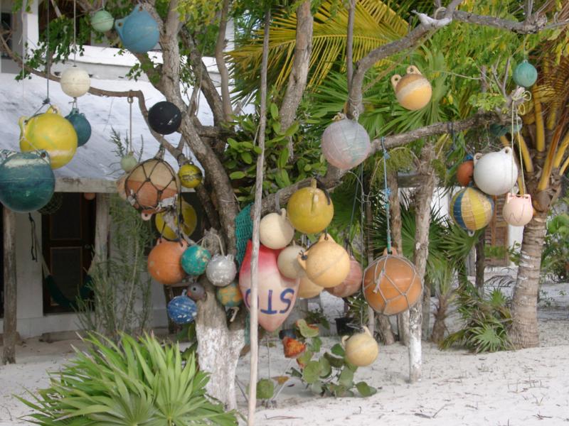 Collection of assorted colorful fishing floats hanging from a tree in a Mexican village
