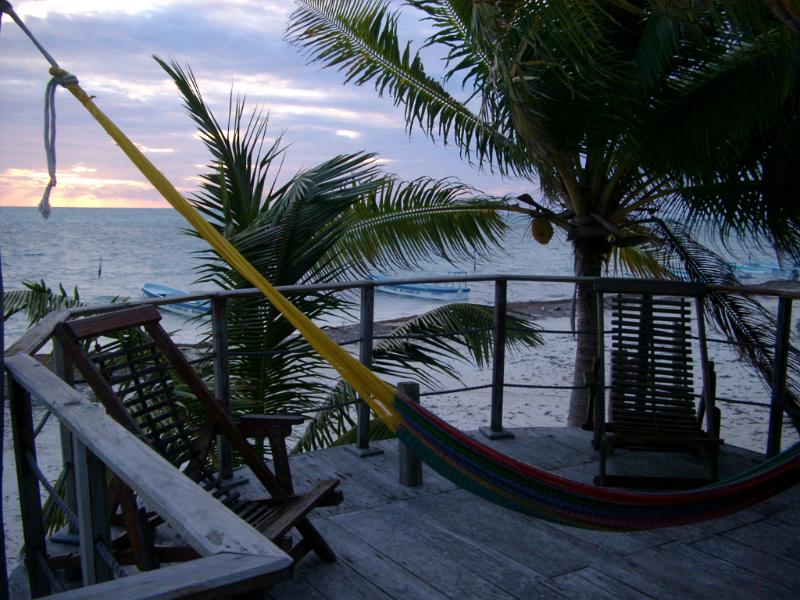 Hammock on a wooden deck overlooking the ocean with tropical palm trees in a travel and summer vacation concept
