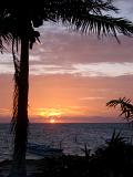 Palm trees silhouetted against a colorful tropical sunset over the ocean in Mexico, symbolic of summer vacations and travel