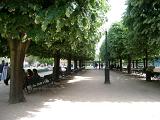 Receding rows of leafy green trees in a Paris park with wooden benches on a gravel walkway to relax and enjoy the sunshine