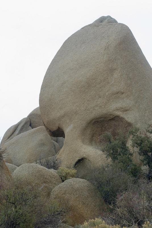Skull Rock in Joshua Tree National Park, a natural stone formation with a creepy resemblance to a human skull