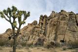 Big Rocks at Typical View of Joshua Tree National Park Located at California. Captured on Daylight.