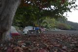 Tourists with their Camp Tents Under Huge Trees at Ho'Okena Beach Park in Hawaii
