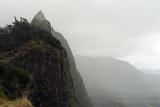 Foggy Morning at Beautiful Pali Lookout. Lookout offers panoramic views of the sheer Koolau cliffs and lush Windward Coast.