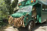 Funny Man Made Grass Skirt on Green Bus. Capture Outdoor on One Fine Day.