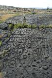 Puu Loa Petroglyphs covering an extensive archeological site of over 23000 geometric , cultural and anthropomorhic images carved into hardened lava