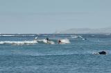 Few Tourists Surfing at Blue Water Waikiki Beach. Isolated Light Blue Gray Sky Background.